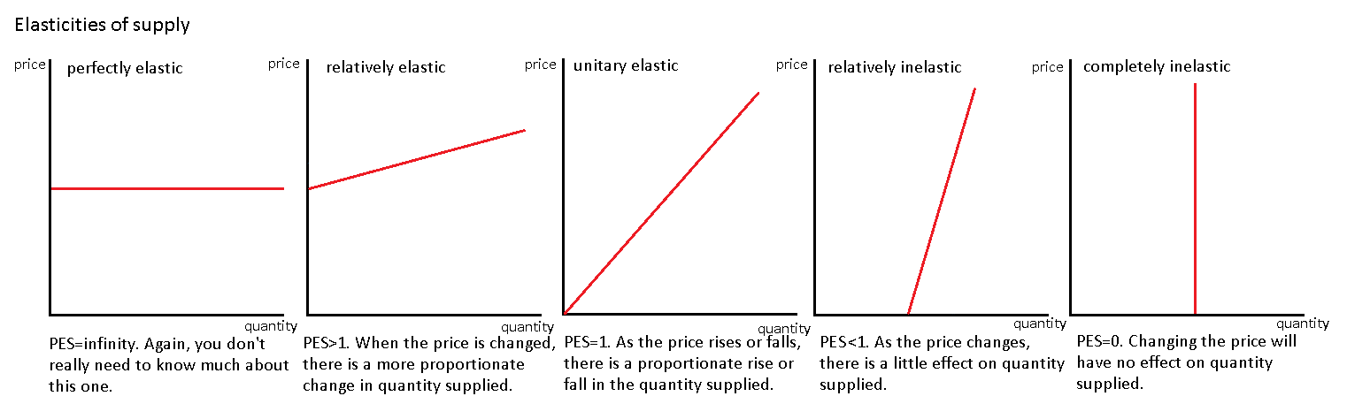 price elasticity of demand and supply essay